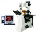 用途

550 系列熒光顯微鏡是由倒置顯微鏡和落射熒光裝置組成。配有長工作距離平場消色差物鏡、大視野目鏡、雙目觀察。倒置熒光顯微鏡還配有特長工作距離聚光鏡、同時(shí)配有相襯裝置及長工作距離平場相襯物鏡，具有在培養(yǎng)瓶或培養(yǎng)皿內(nèi)進(jìn)行顯微觀察的特點(diǎn)。倒置熒光顯微鏡可以觀察不經(jīng)染色的透明活體；落射熒光裝置適用于熒光顯微術(shù)。倒置熒光顯微鏡特別適用于對(duì)活體細(xì)胞和組織、流質(zhì)、沉淀物等進(jìn)行顯微研究，是生物學(xué)、細(xì)胞學(xué)、腫瘤學(xué)、遺傳學(xué)、免疫學(xué)等研究工作的理想儀器?？晒┛蒲?、高校、醫(yī)療、防疫質(zhì)檢和農(nóng)牧等部門使用。
