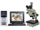 實(shí)體圖像顯微鏡或數(shù)碼攝影實(shí)體顯微鏡，配置了高清晰度的圖像傳感攝像機(jī) (或數(shù)碼相機(jī))，可以將顯微成像由計(jì)算機(jī)進(jìn)行處理、編輯、保存和輸出 (如打印等)或進(jìn)入多媒體系統(tǒng)及電子信箱。
